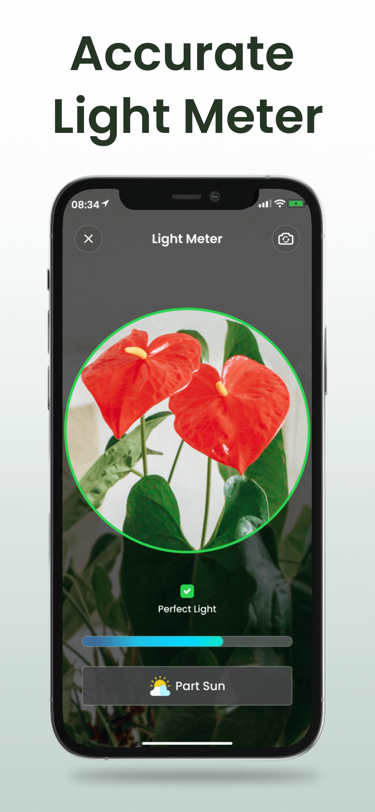 Plant Identifier: Plantiary screenshot