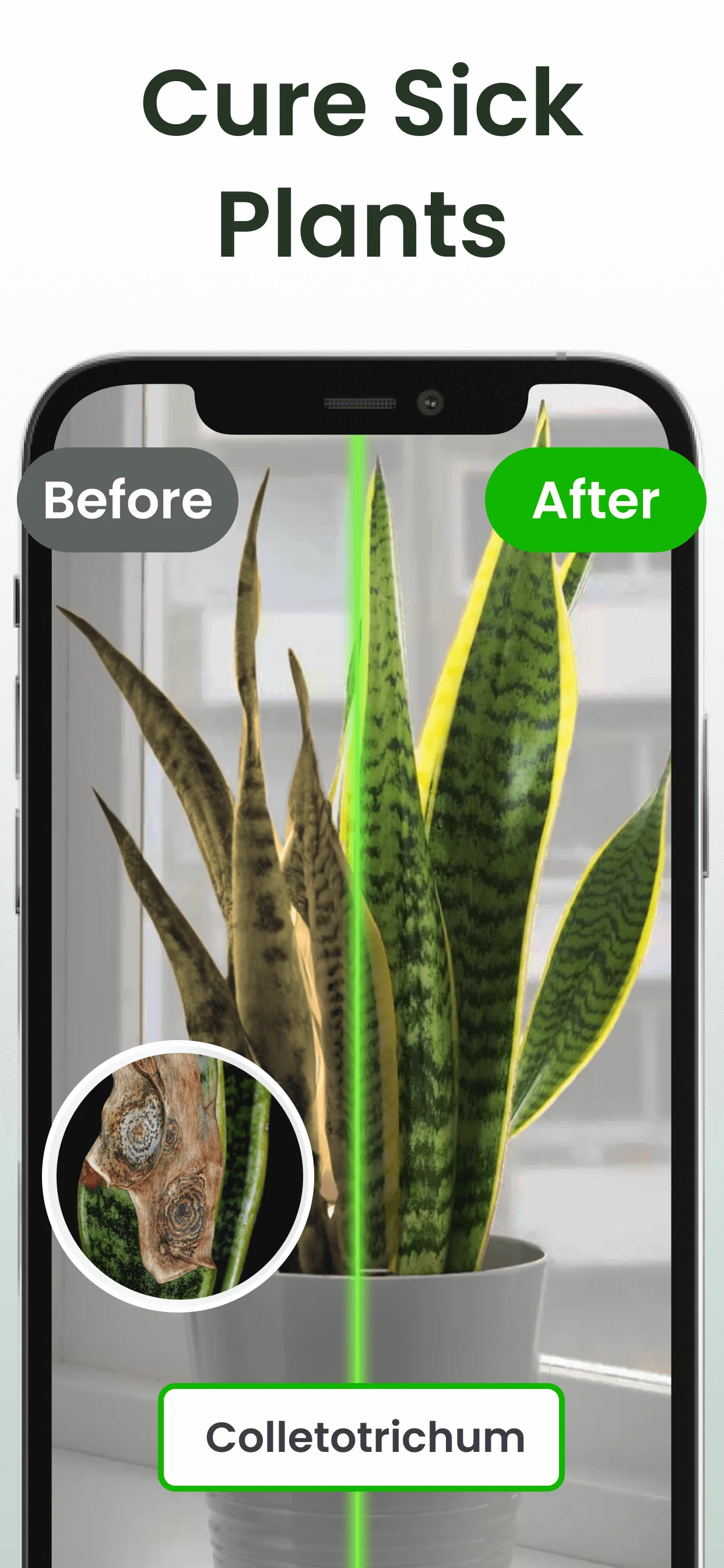 Plant Identifier: Plantiary screenshot