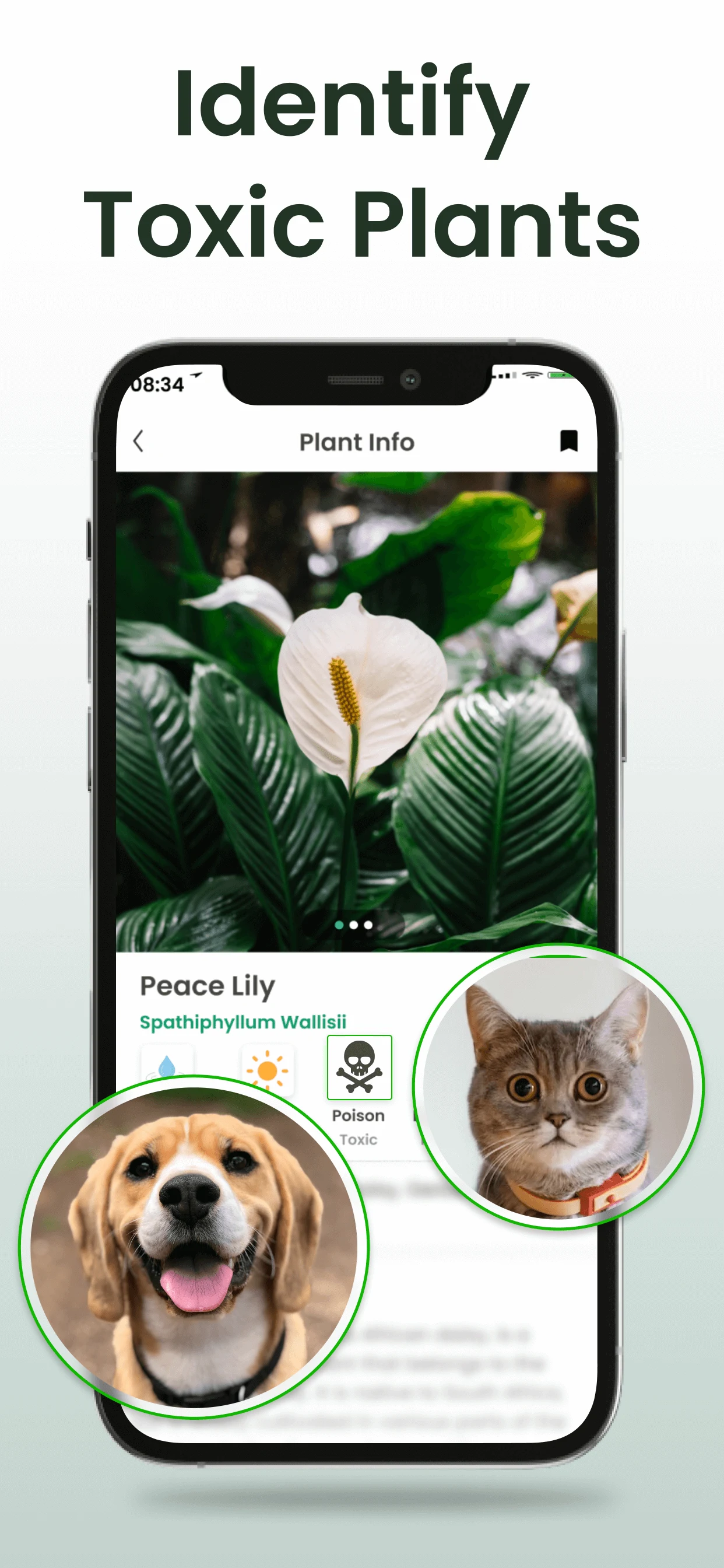 Plant Identifier: Plantiary screenshot