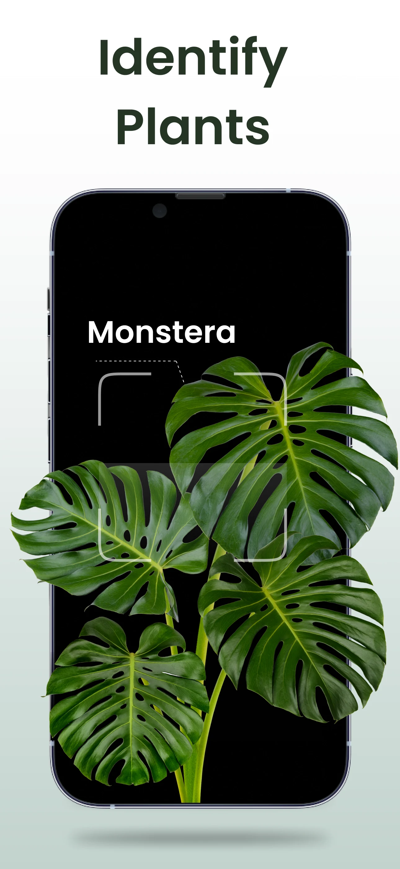 Plant Identifier: Plantiary screenshot